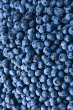 Load image into Gallery viewer, Predator Blueberry Detox Tea