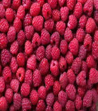 Load image into Gallery viewer, Predator Raspberry Detox Tea