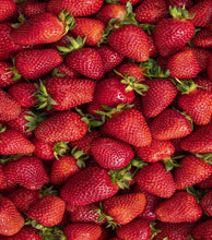 Load image into Gallery viewer, Predator Strawberry Detox Tea